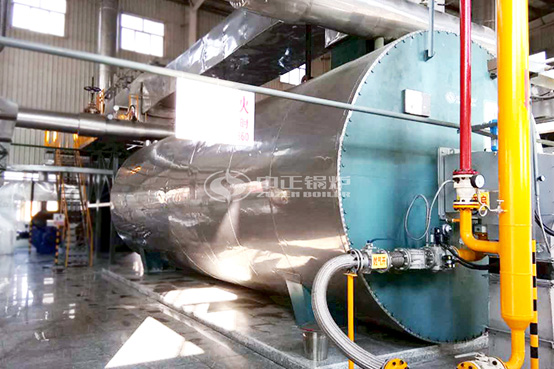 10噸WNS燃氣鍋爐-天然氣鍋爐規(guī)格